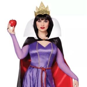 Disney Evil Queen Costume